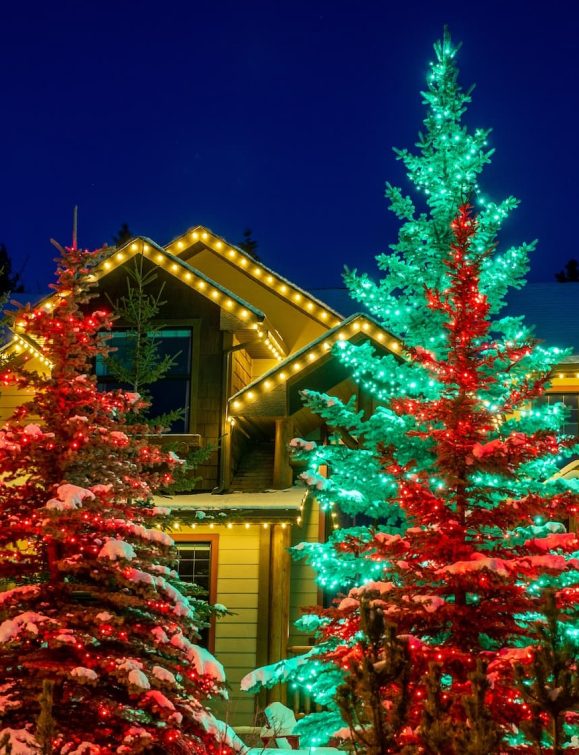 11_C5_Red__Green_40_Strands_Total