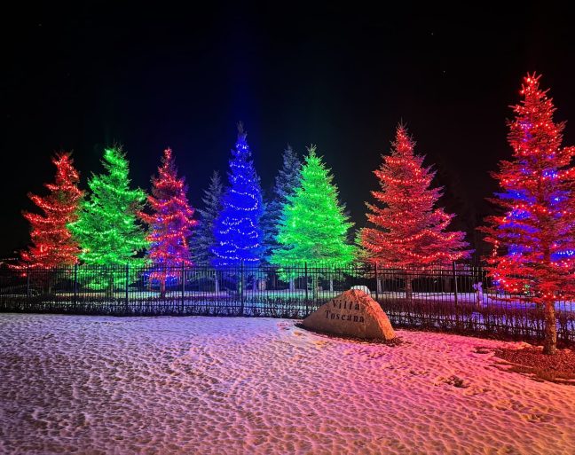 2_Red_Green_and_Blue_C5_15-20_strands_per_tree