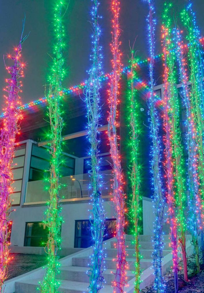 lights-for-trees-button